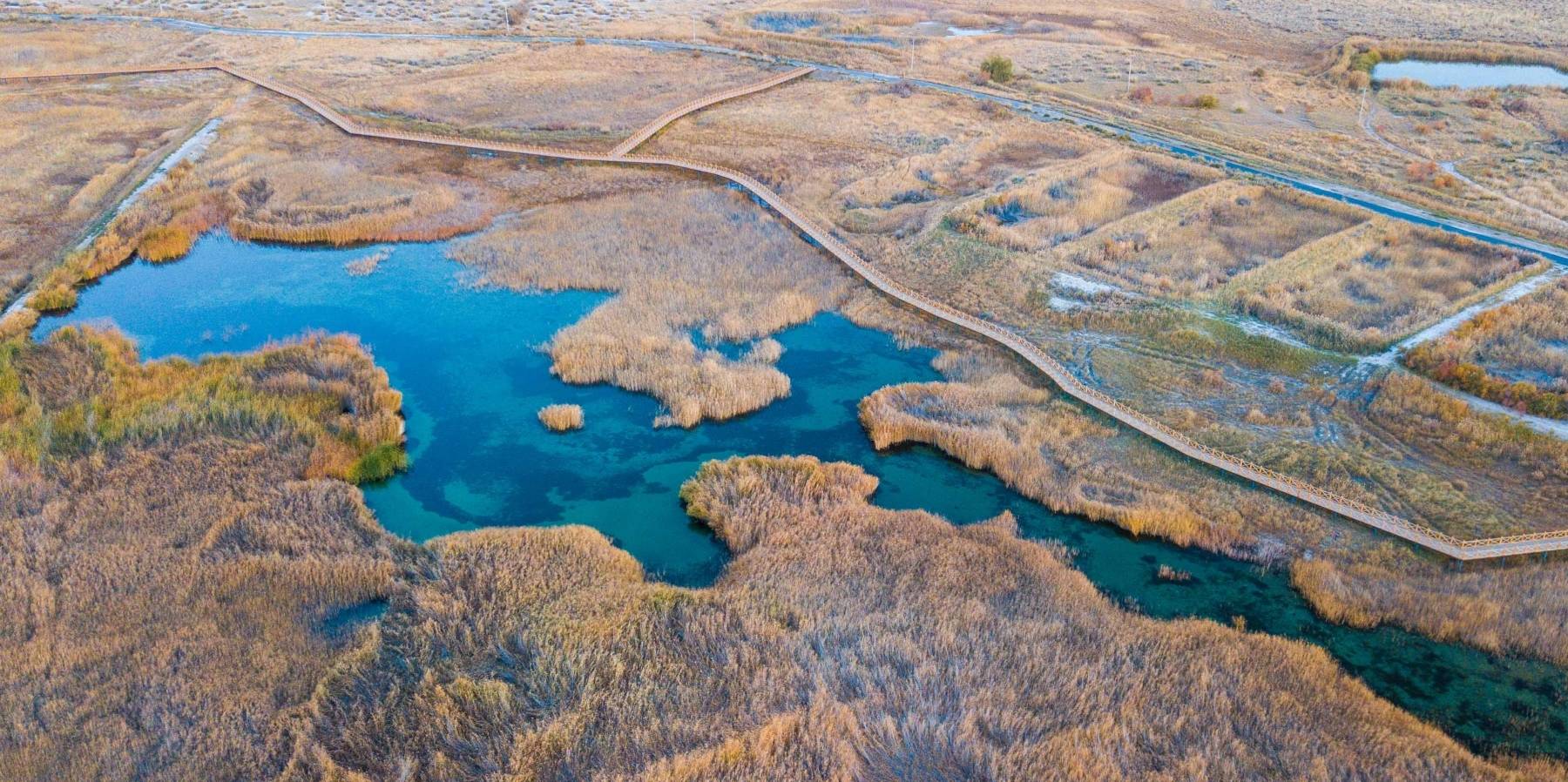 原创 甘肃也有水天一色的湿地公园,有优越原生态环境,是动植物的天堂10