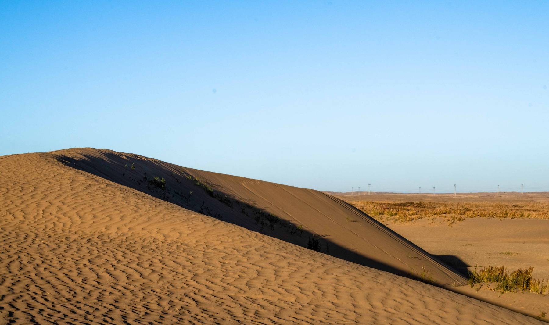 原创 甘肃也有水天一色的湿地公园,有优越原生态环境,是动植物的天堂13