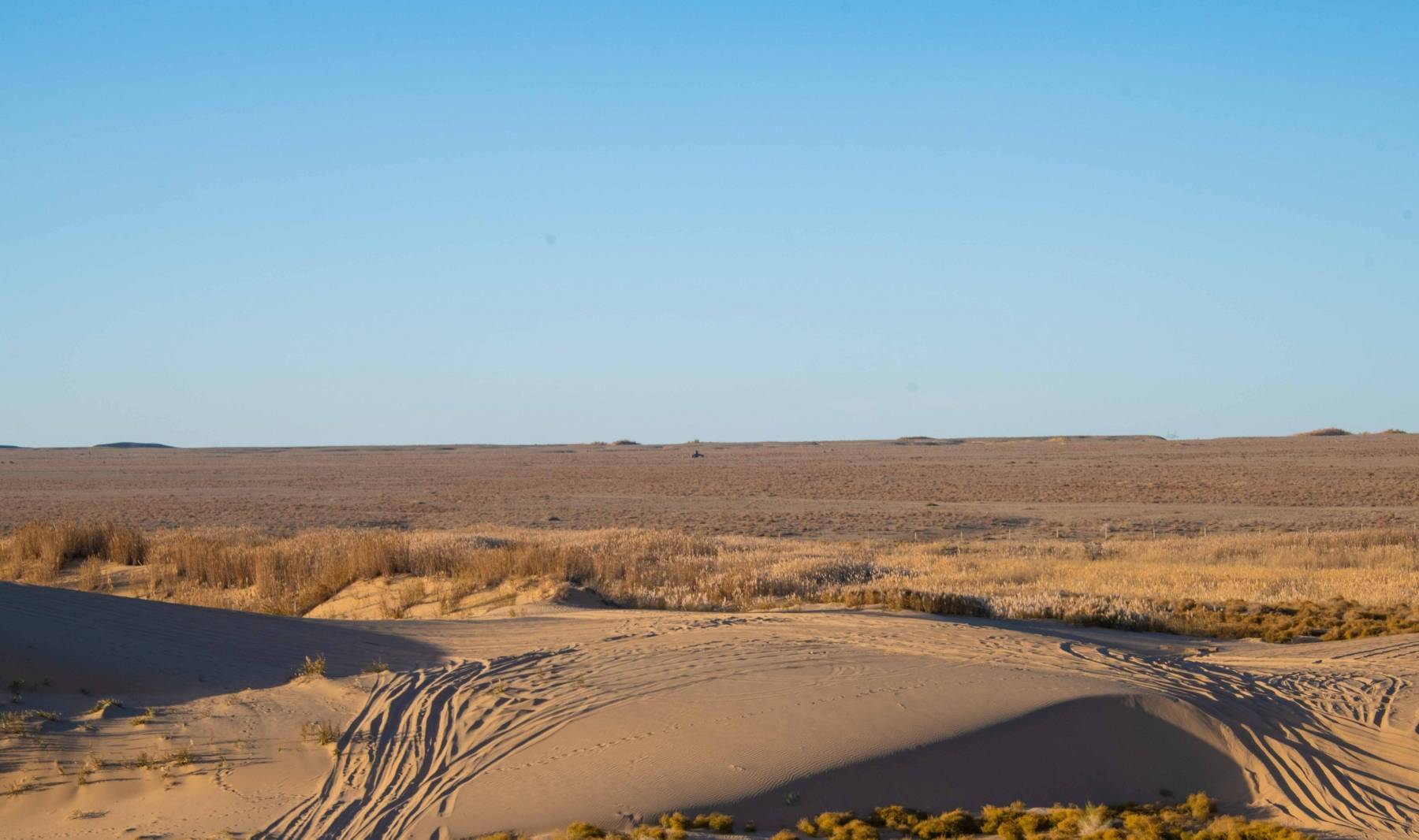 原创 甘肃也有水天一色的湿地公园,有优越原生态环境,是动植物的天堂14
