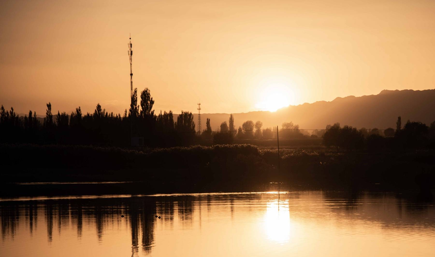 原创 甘肃也有水天一色的湿地公园,有优越原生态环境,是动植物的天堂15