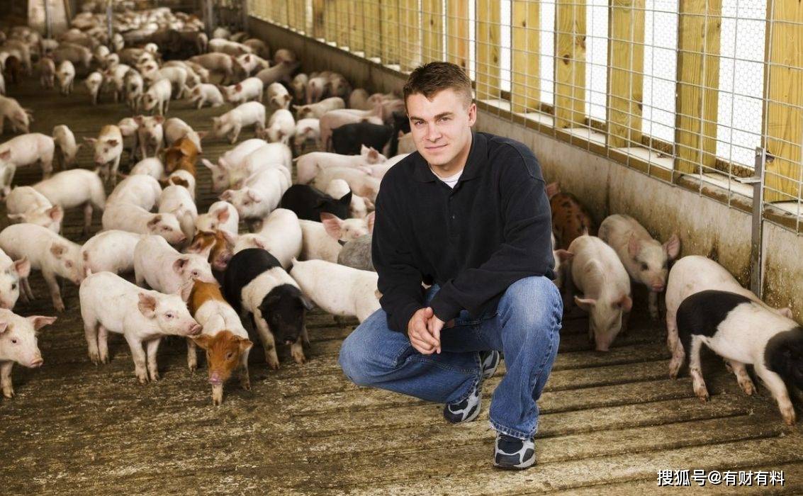 原创 农村光棍很多?有3类却不愁娶媳妇,就算没钱媒婆也愿意上门提亲4