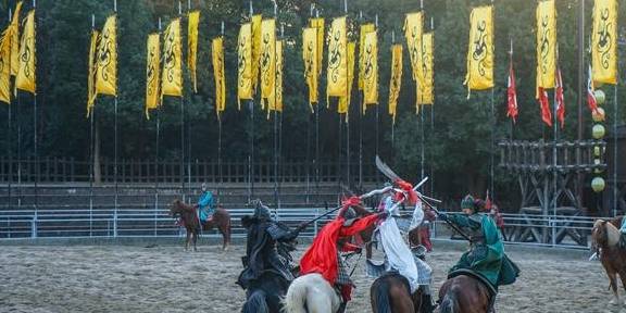 原创 冬日里,无锡影视城不仅是央视影视基地,还是观赏红嘴鸥的好地方6