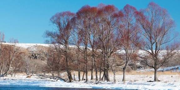 原创 童话阿尔山：人间奇迹不冻河 数九寒天流水淙淙2