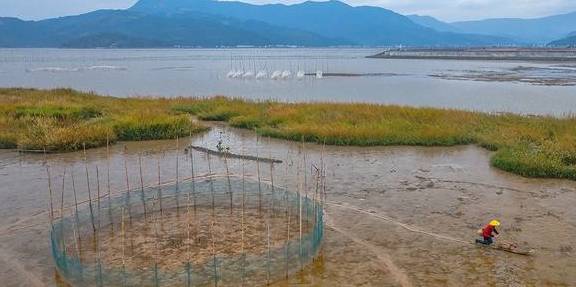 原创 冷空气过后的温州苍南,云雾缭绕海岸山头,雨后世界宛如仙境2