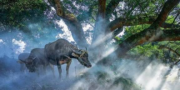 原创 冷空气过后的温州苍南,云雾缭绕海岸山头,雨后世界宛如仙境3