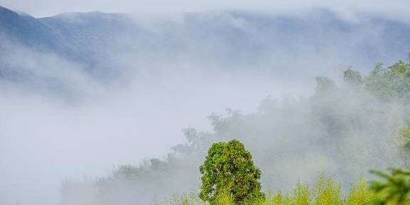 原创 冷空气过后的温州苍南,云雾缭绕海岸山头,雨后世界宛如仙境5