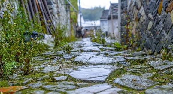 原创 冷空气过后的温州苍南,云雾缭绕海岸山头,雨后世界宛如仙境13
