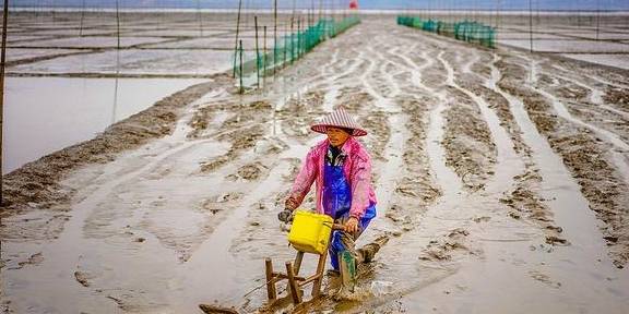 原创 冷空气过后的温州苍南,云雾缭绕海岸山头,雨后世界宛如仙境9