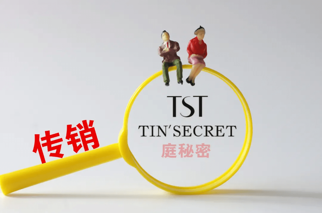 “微商教母”张庭被查1