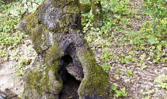 原创 奇特的火山遗迹,神奇的自然景观,大自然精雕细琢的完美艺术品5