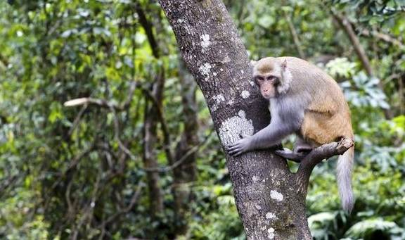 原创 奇特的火山遗迹,神奇的自然景观,大自然精雕细琢的完美艺术品8