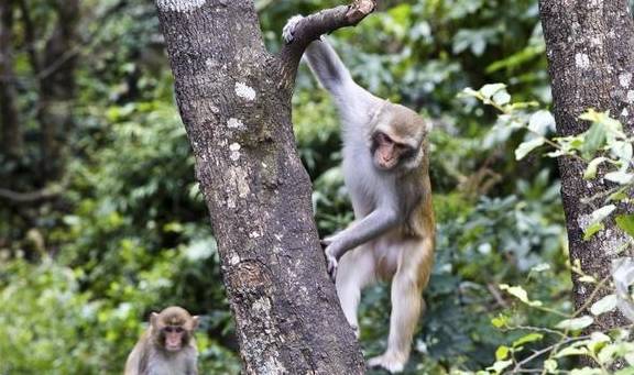 原创 奇特的火山遗迹,神奇的自然景观,大自然精雕细琢的完美艺术品9