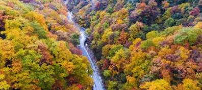 原创 四川 光雾山、稻城亚丁正式成为国家5A级景区!1