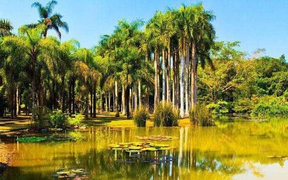 原创 我国最适合避寒的5座城市,阳光、沙滩、梯田,景色美到让人窒息1