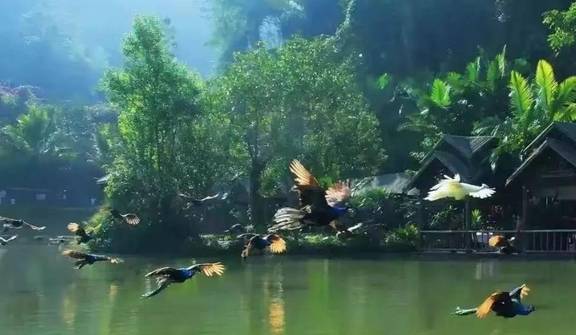 3家亏损子公司卖1.8亿,接盘方经营异常,众信旅游大手笔交易疑云2