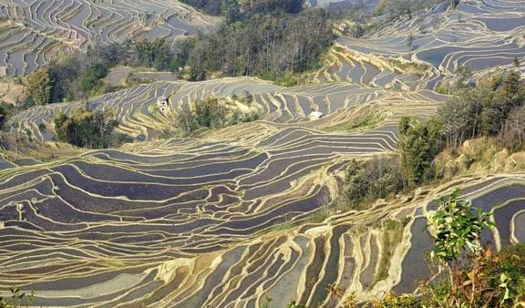 原创 我国最适合避寒的5座城市,阳光、沙滩、梯田,景色美到让人窒息6