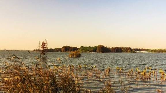 原创 中国最大的城中湖：是西湖的六倍大风景绝美，百年前曾与长江相连5