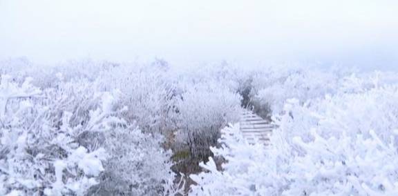 原创 这个冬季,江西石城这3个地方,你一定要去一个,错过等1年!1