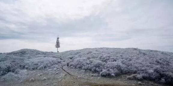 原创 这个冬季,江西石城这3个地方,你一定要去一个,错过等1年!4