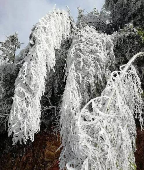 原创 这个冬季,江西石城这3个地方,你一定要去一个,错过等1年!5
