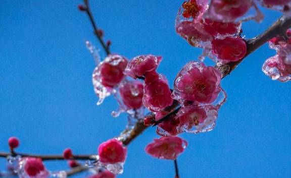 原创 这个冬季,江西石城这3个地方,你一定要去一个,错过等1年!11