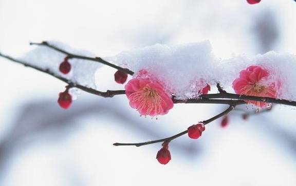 原创 这个冬季,江西石城这3个地方,你一定要去一个,错过等1年!12