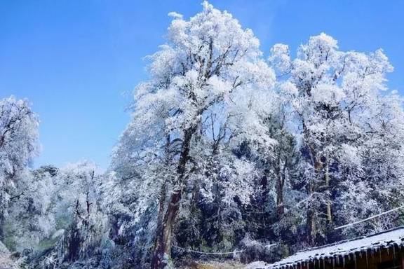 原创 这个冬季,江西石城这3个地方,你一定要去一个,错过等1年!7