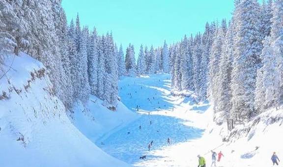 原创 新疆一到冬天,便成了童话本话!又美又仙32