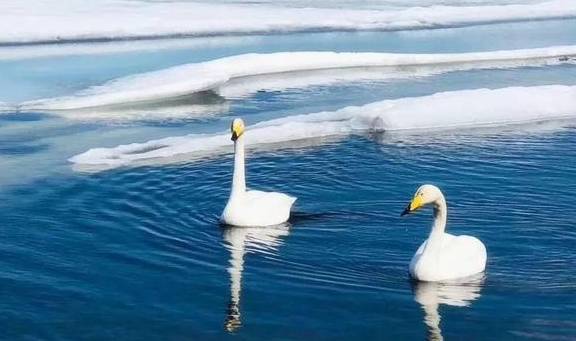 原创 新疆一到冬天,便成了童话本话!又美又仙39