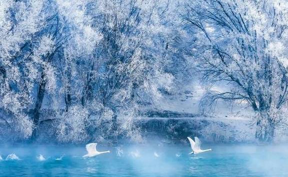 原创 新疆一到冬天,便成了童话本话!又美又仙40