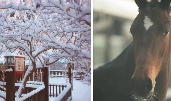 原创 新疆一到冬天,便成了童话本话!又美又仙43