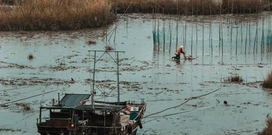 原创 “浙南小城”绽放的蓝色海湾,浙江人都不知道的地方,超适合拍照4