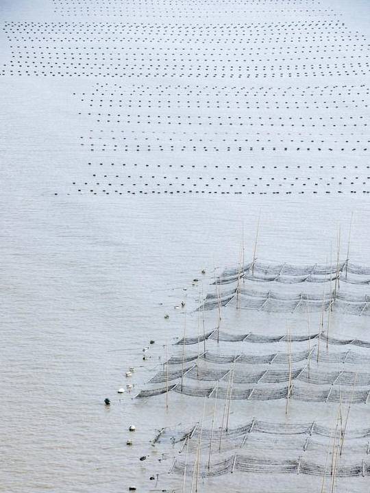 原创 “浙南小城”绽放的蓝色海湾,浙江人都不知道的地方,超适合拍照11