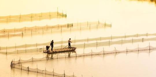 原创 “浙南小城”绽放的蓝色海湾,浙江人都不知道的地方,超适合拍照6