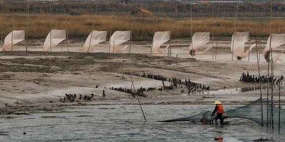 原创 “浙南小城”绽放的蓝色海湾,浙江人都不知道的地方,超适合拍照8