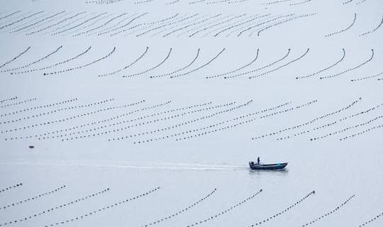 原创 “浙南小城”绽放的蓝色海湾,浙江人都不知道的地方,超适合拍照9