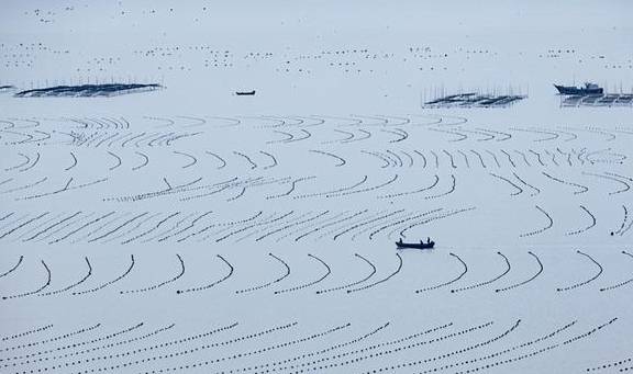 原创 “浙南小城”绽放的蓝色海湾,浙江人都不知道的地方,超适合拍照10