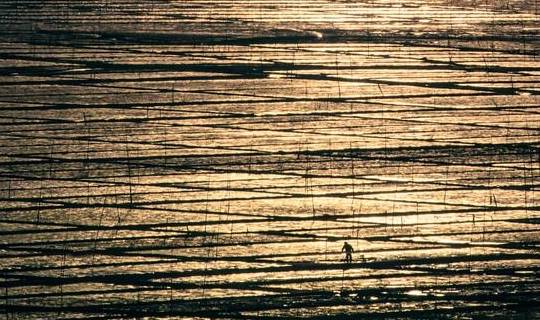 原创 “浙南小城”绽放的蓝色海湾,浙江人都不知道的地方,超适合拍照15