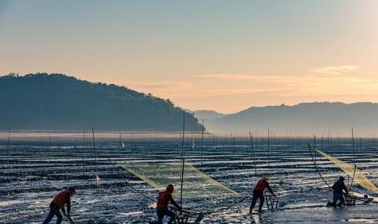 原创 “浙南小城”绽放的蓝色海湾,浙江人都不知道的地方,超适合拍照16