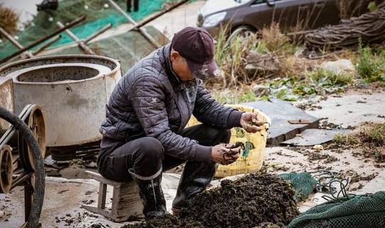 原创 “浙南小城”绽放的蓝色海湾,浙江人都不知道的地方,超适合拍照17