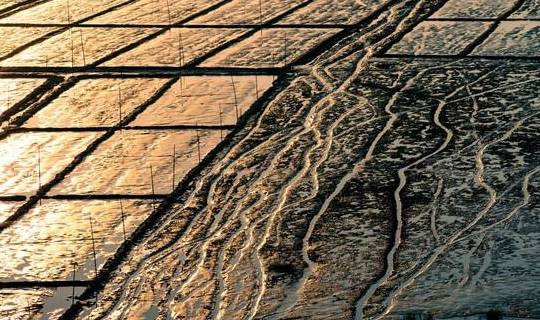 原创 “浙南小城”绽放的蓝色海湾,浙江人都不知道的地方,超适合拍照18