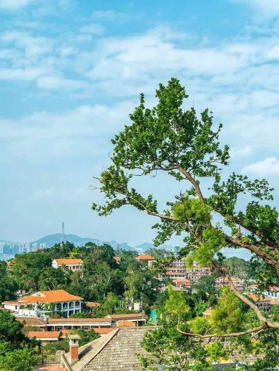 原创 海与人的生活，半城烟火半城仙，有种幸福叫厦门小确幸16