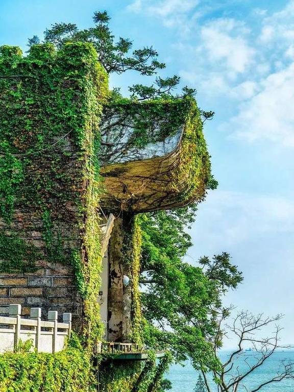 原创 海与人的生活，半城烟火半城仙，有种幸福叫厦门小确幸27