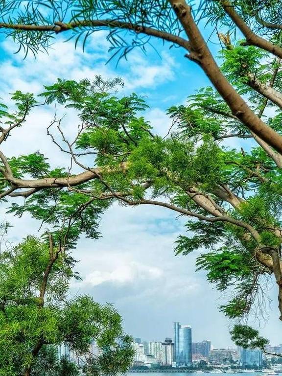 原创 海与人的生活，半城烟火半城仙，有种幸福叫厦门小确幸28