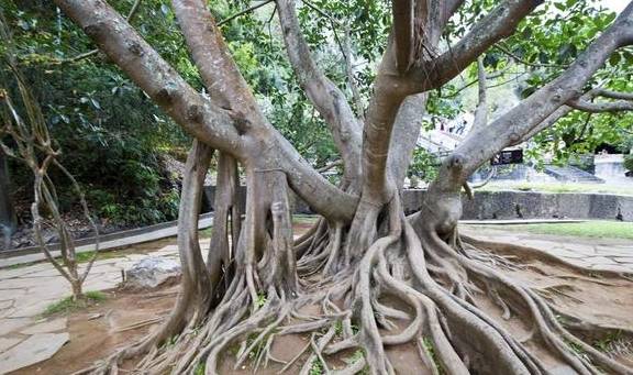 原创 大滚锅、蛤蟆嘴、怀胎井、美女池,数九寒天最热情最温馨的地方12