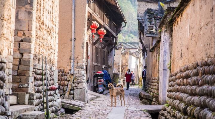 原创 浙江遂昌有座宋朝古村,藏在山里还无商业化,适合年尾来放空4