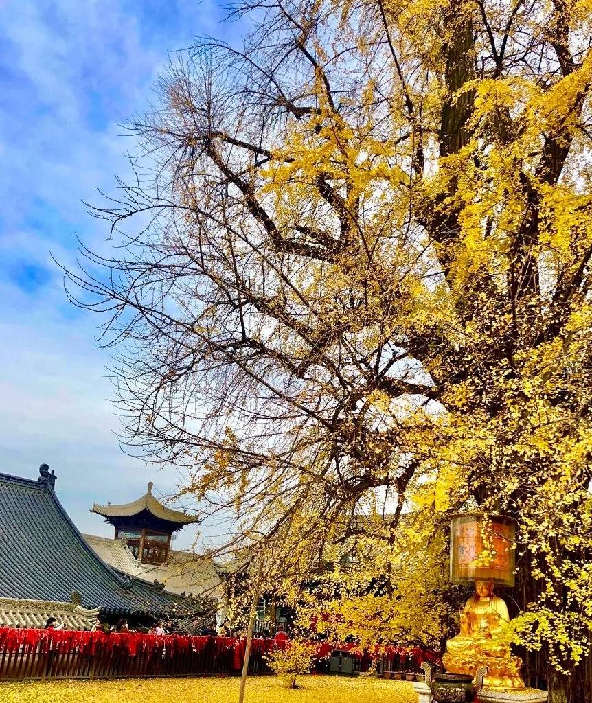 原创 西安这个千年古都又火了,到底有多“宠粉”?看完就知道了15