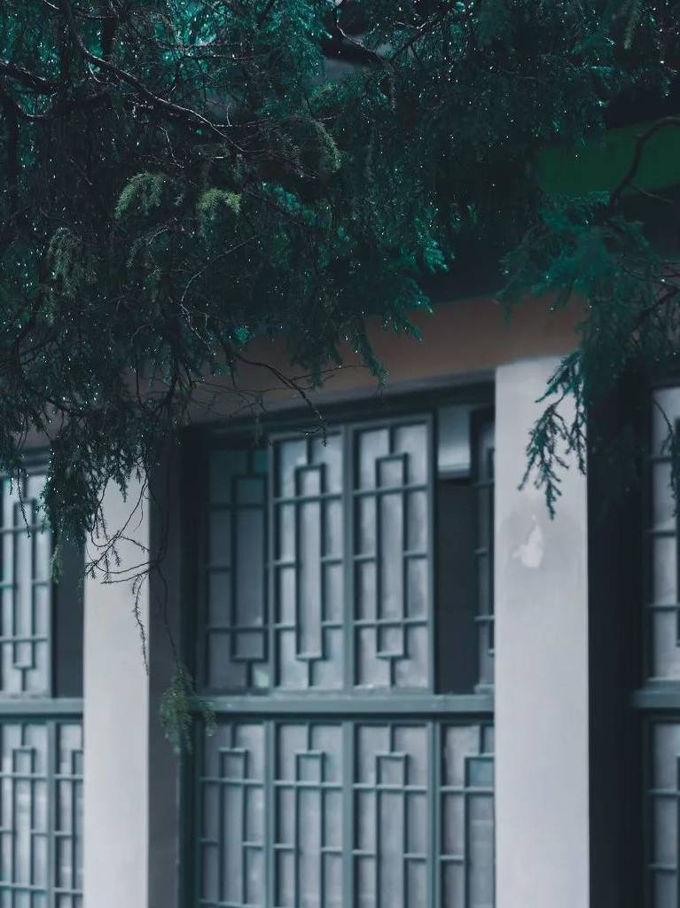 原创 西安这个千年古都又火了,到底有多“宠粉”?看完就知道了19