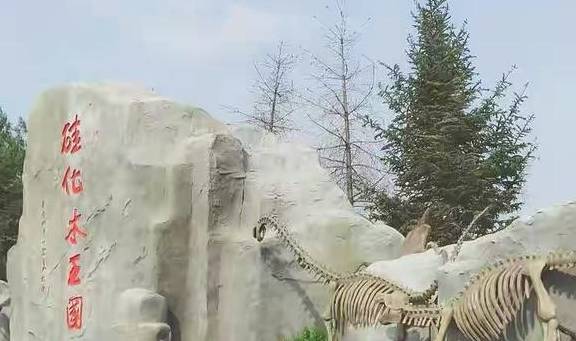 原创 藏在本溪水洞的千年化石王国,看似普通的‘木头’,却是无价之宝1