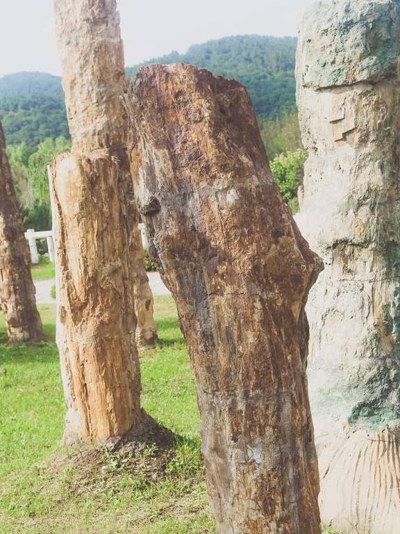 原创 藏在本溪水洞的千年化石王国,看似普通的‘木头’,却是无价之宝2